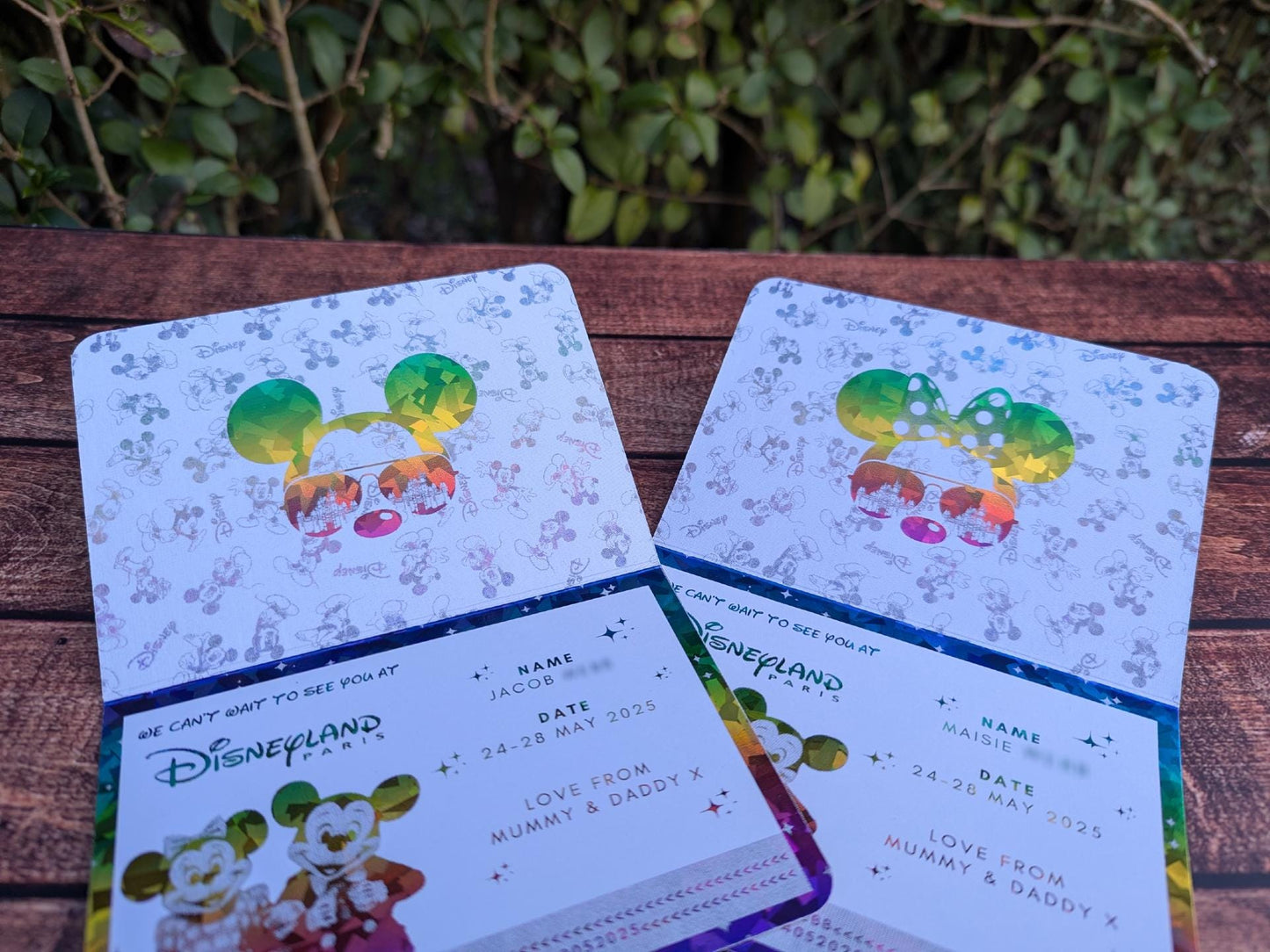 Disney passport