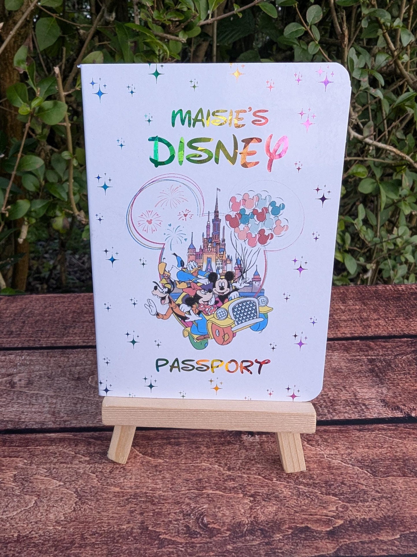 Disney passport